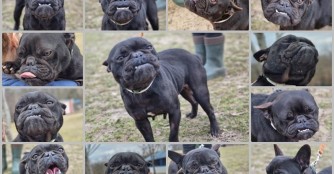 First, die mit den 1000 Gesichtern