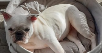 Happy End f&uuml;r Brunella