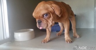 F&uuml;llencs hat die ersten Untersuchungen hinter sich