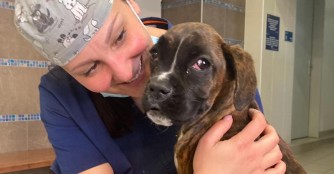 Gigi's gro&szlig;er Tag!