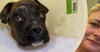 Gigi hat die OP gut &uuml;berstanden!