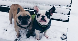 Hildi und Augustin im Gl&uuml;ck