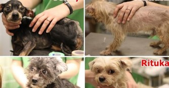 4 verwahrloste Senioren in unserer Obhut