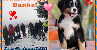 Charity-Wanderung zu Gunsten von Ivanhoe