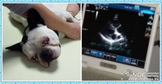 Kal&oacute;z geht es schon viel besser!