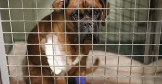 Kant&aacute;r nach der SchulterOP