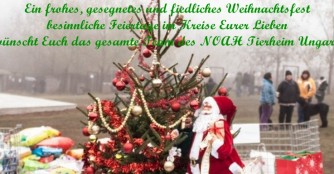 Wir w&uuml;nschen frohe Weihnachten!