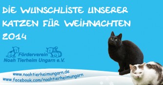 Wunschliste unserer Katzen zu Weihnachten