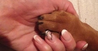 Sie m&ouml;chten helfen?