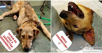 Kygo hat keinen Knochenkrebs! :)