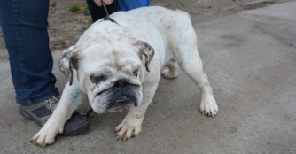 Lea&rsquo;s Chance auf ein besseres Leben!