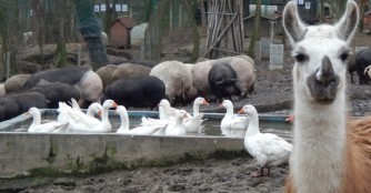 Impressionen aus unserem Tierheim