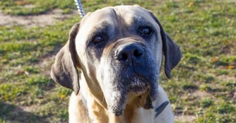 Lord wartet seit 8! Jahren in NO&Eacute;!