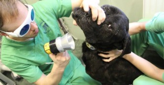 Lucas bekommt eine Laserbehandlung