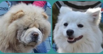 Happy End am Wochenende f&uuml;r Mao und Lara Croft