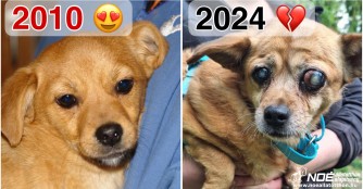 Martini ist nach 12 Jahren wieder bei uns!