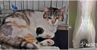 Hoffnung f&uuml;r Mieze Melange