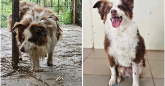 Aus der H&ouml;lle entkommen - Ausztr&aacute;l Orion