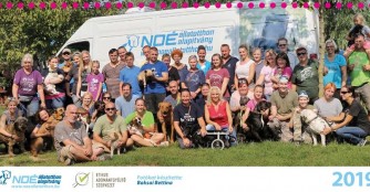 NOAH Tierheim Ungarn &ndash; Tischkalender 2019