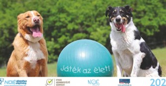 NO&Eacute; Tischkalender 2021 und NO&Eacute; Masken 