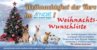 Unsere Weihnachtswunschliste 2016!