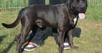 Nach 8 Jahren hat Nemo ein Zuhause gefunden!