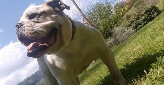 Bowling, alias Otis - Neuer Name, neues Gl&uuml;ck!