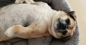 Paula feiert Jahrestag :)