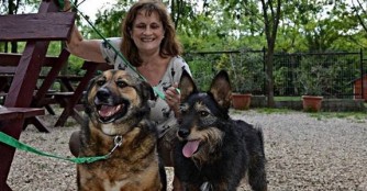 Adoption