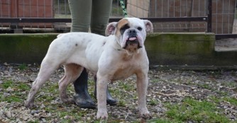 Skiny geht es schon so gut!