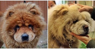 Mao und Smacko m&uuml;ssen zum Facelifting