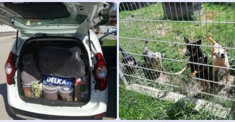 Spende von den Sonnenzwergen aus &Ouml;sterreich