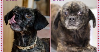 Szemcsi ist bereit f&uuml;r eine eigene Familie