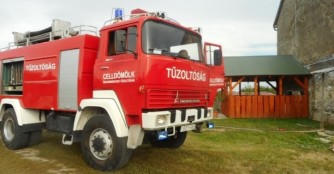 Notsituation im Tierheim Szerg&eacute;ny