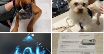 Herzultraschalltermin im Februar 2024