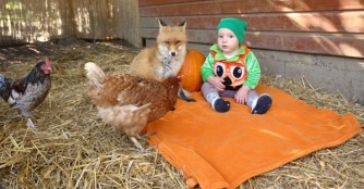 Interview mit dem Gr&uuml;nder unseres Tierheimes