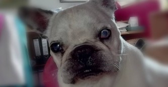 Gr&uuml;sse von Frenchy-Opi Taty&oacute;