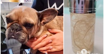 Aus Top&aacute;nka wurden 17 Herzw&uuml;rmer rausoperiert!