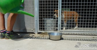 Der Wassermangel in Szerg&eacute;ny ist noch nicht behoben!