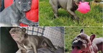 F&uuml;rk&eacute;sz hat ihr Traumzuhause gefunden