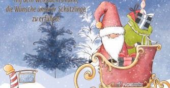 Weihnachtsw&uuml;nsche unserer Sch&uuml;tzlinge (Teil 1)