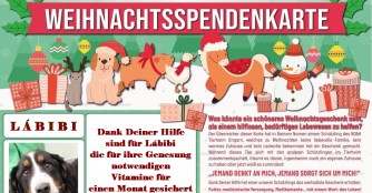 Verschenke eine gute Tat zu Weihnachten
