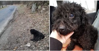 Wilhelmina, die blinde Pulih&uuml;ndin