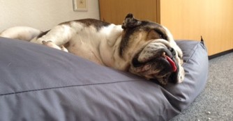 Wilma der Ober-Chiller!