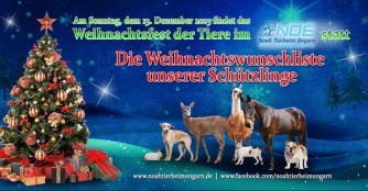 Unsere Wunschliste zu Weihnachen 2015