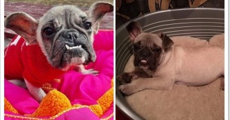 Yodina geht es inzwischen richtig gut!