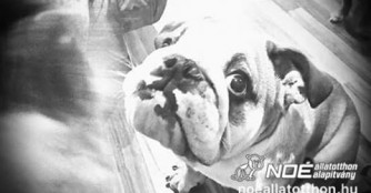 Eine Nacht der unertr&auml;glichen Hilflosigkeit