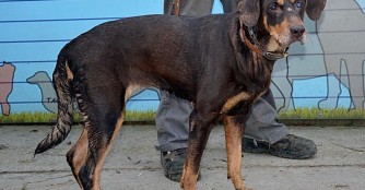 Zara wurde von den Beh&ouml;rden im Stich gelassen