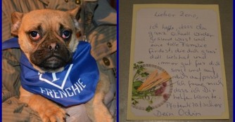 Tolle Spendenaktion f&uuml;r Z&eacute;n&oacute;